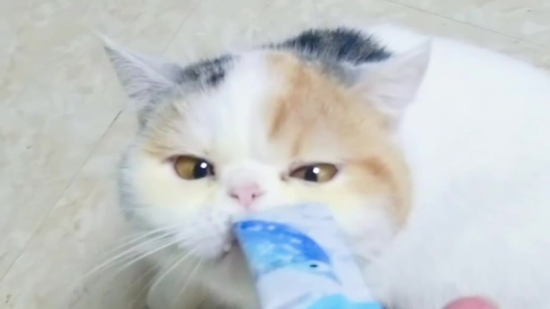 榴莲也是有自知之明的,能清楚的认识自己的不足,嘻嘻